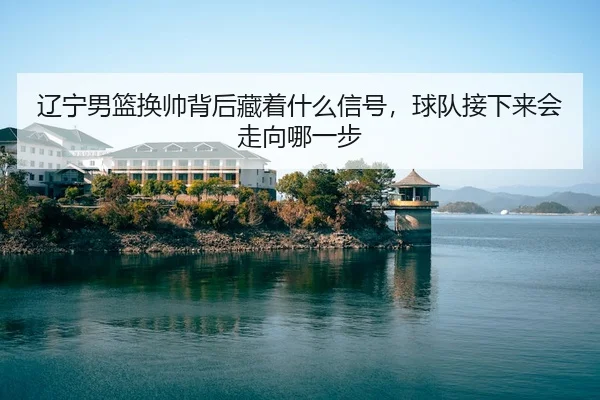 liao-ning-nan-lan-huan-shuai-bei-hou-cang-zhe-shen-me-xin-hao-qiu-dui-jie-xia-lai-hui-zou-xiang-na-yi-bu-3-204.jpg