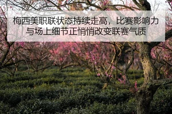 梅西美职联状态持续走高，比赛影响力与场上细节正悄悄改变联赛气质