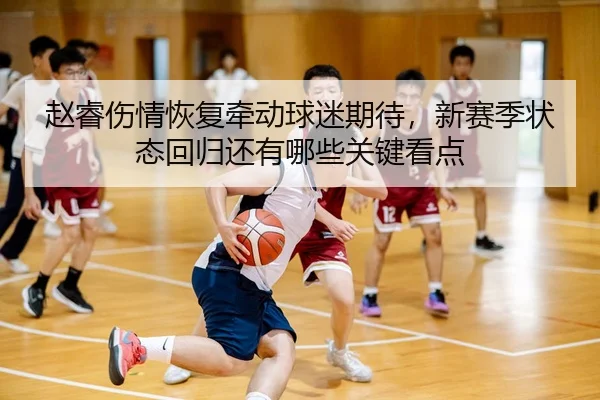 赵睿伤情恢复牵动球迷期待，新赛季状态回归还有哪些关键看点