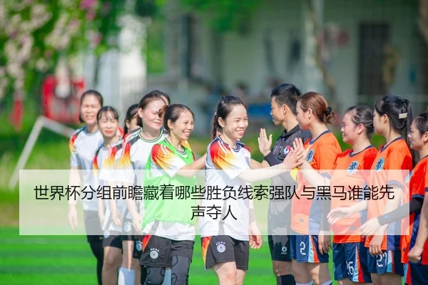 shi-jie-bei-fen-zu-qian-zhan-cang-zhe-na-xie-sheng-fu-xian-suo-qiang-dui-yu-hei-ma-shui-neng-xian-sheng-duo-ren-3-408.jpg